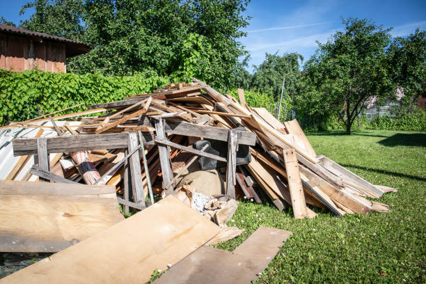 Best Hoarding Cleanup  in Wilder, KY
